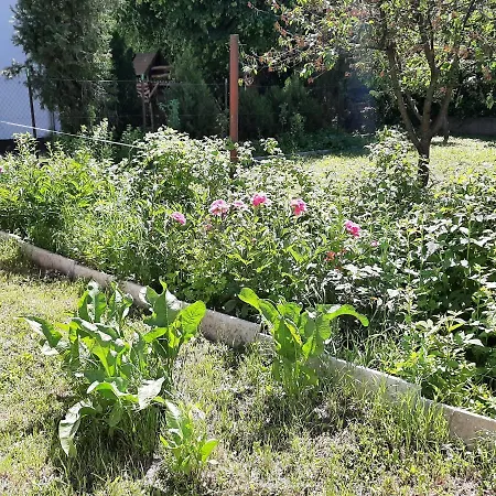 All-in-a Good Space *