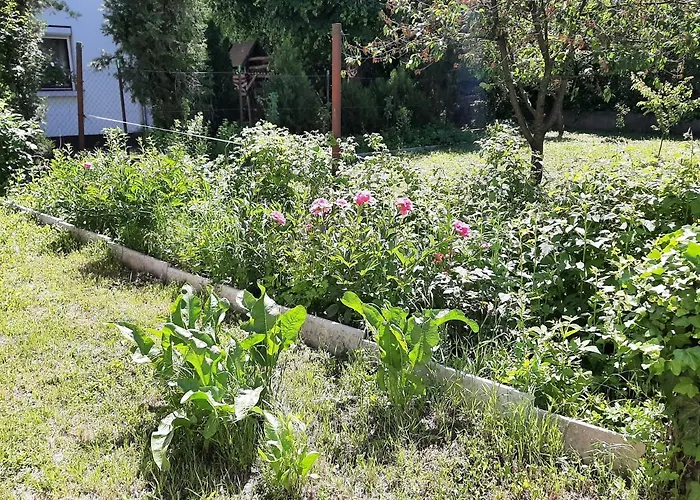 All-in-a Good Space *