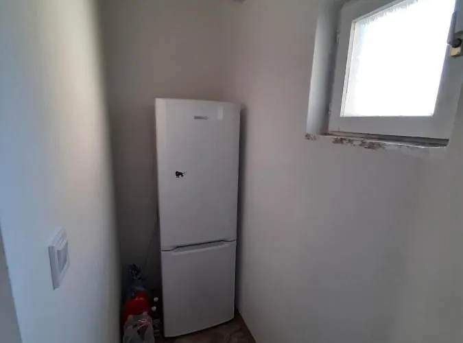 Gazde/Camere de închiriat All-in-a Good Space *